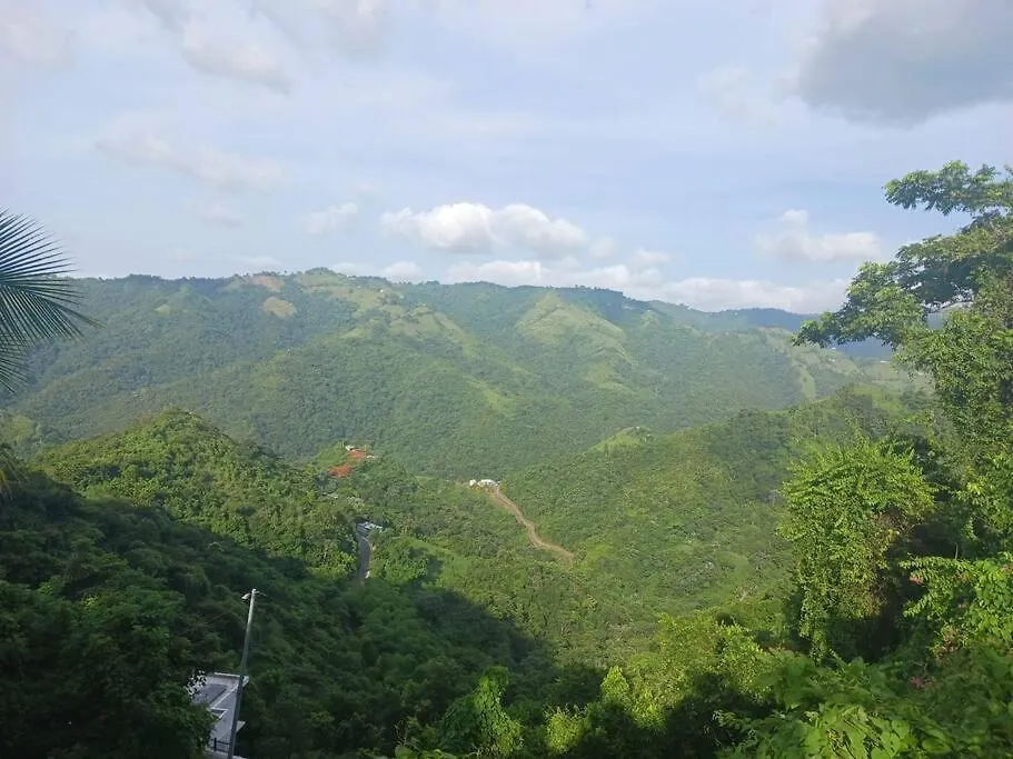 Dom wakacyjny Willa Coqui Hut Ciales Portoryko